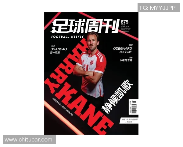 谢什科的传奇人生与足球生涯背后的故事与启示